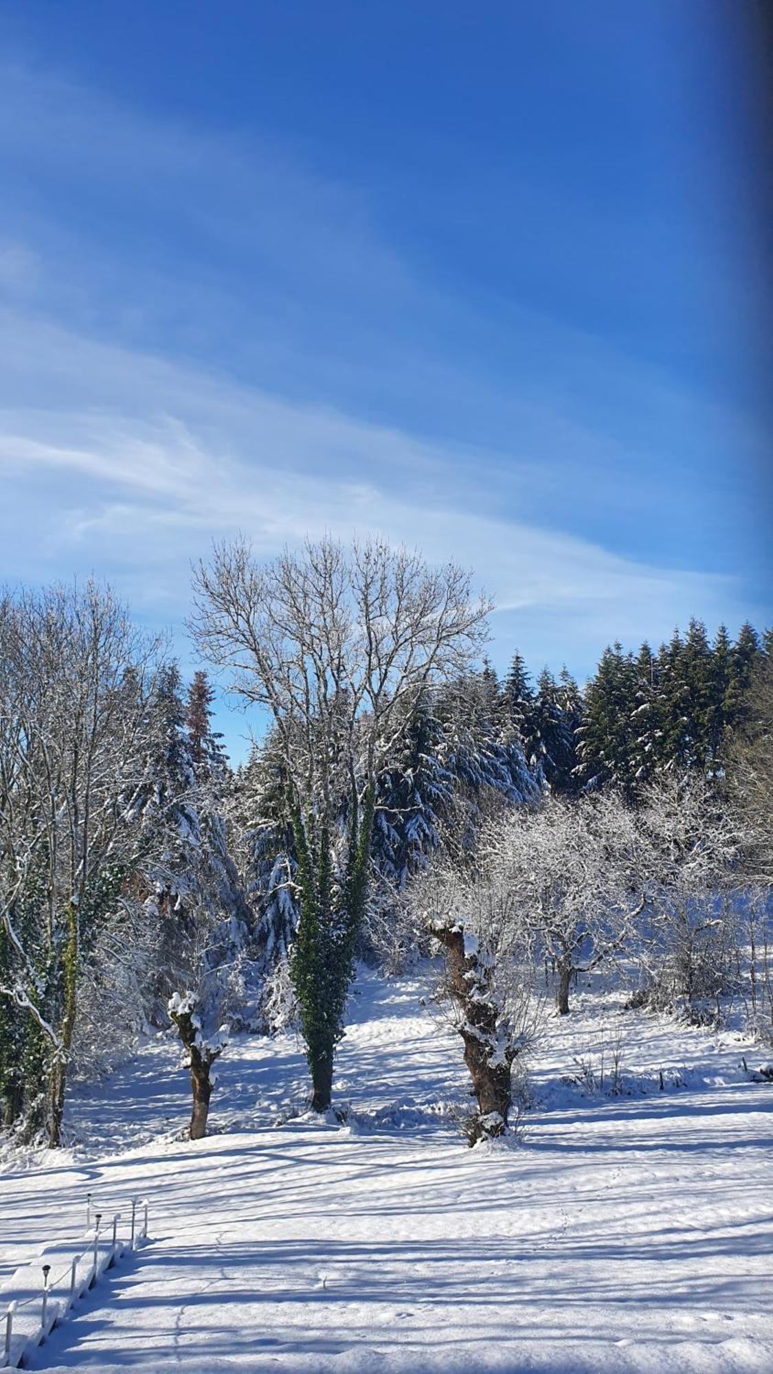 A L'Oree Des Volcans Sainte-Catherine  Exterior foto