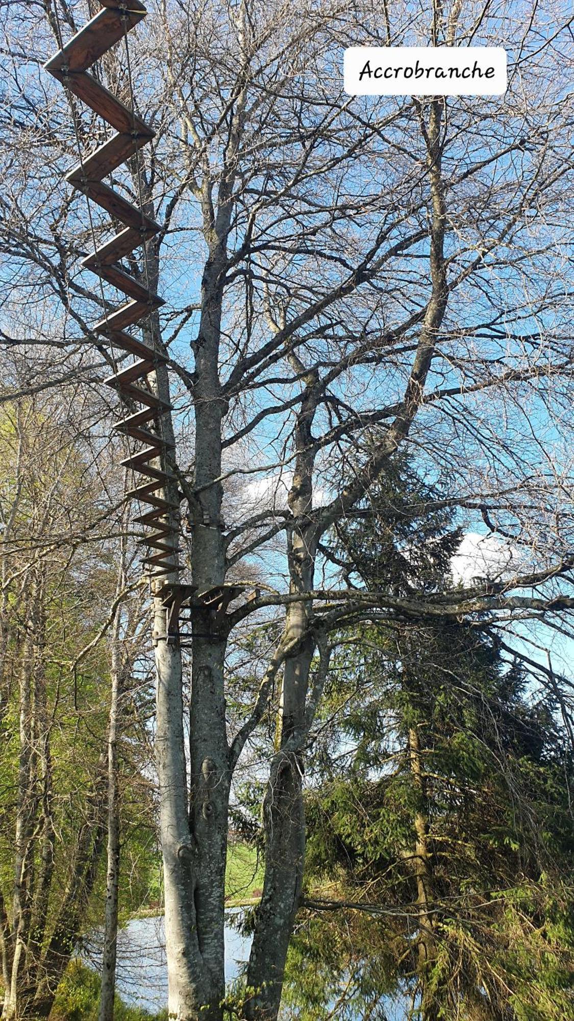 A L'Oree Des Volcans Sainte-Catherine  Exterior foto
