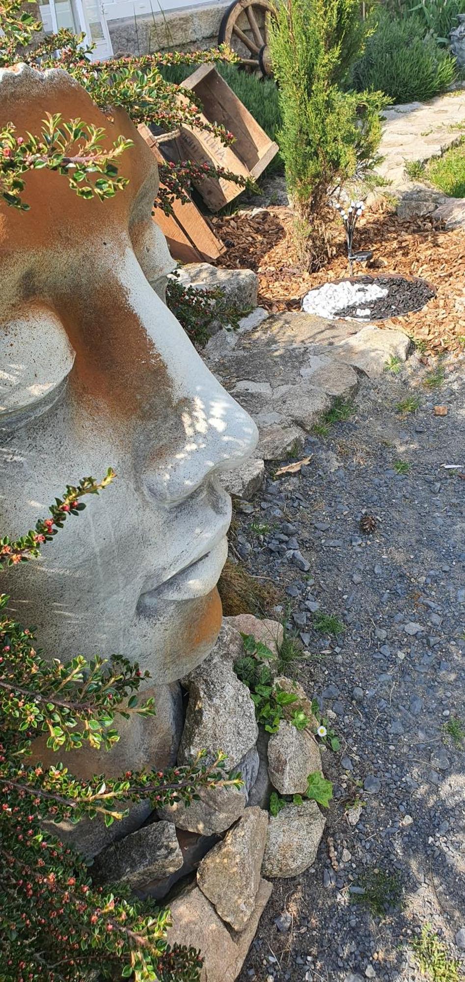 A L'Oree Des Volcans Sainte-Catherine  Exterior foto